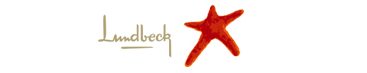 lundbeck zucchetti hr solutions