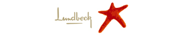 lundbeck zucchetti hr solutions